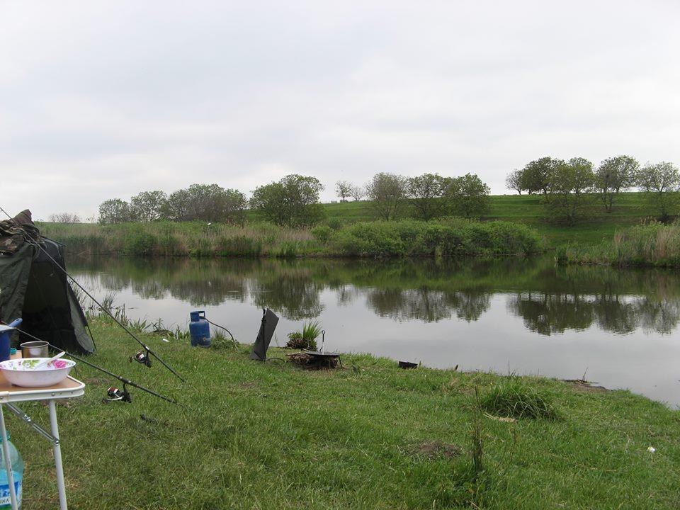 chiroiu 4 - 679855838822683315291917683328n.jpg